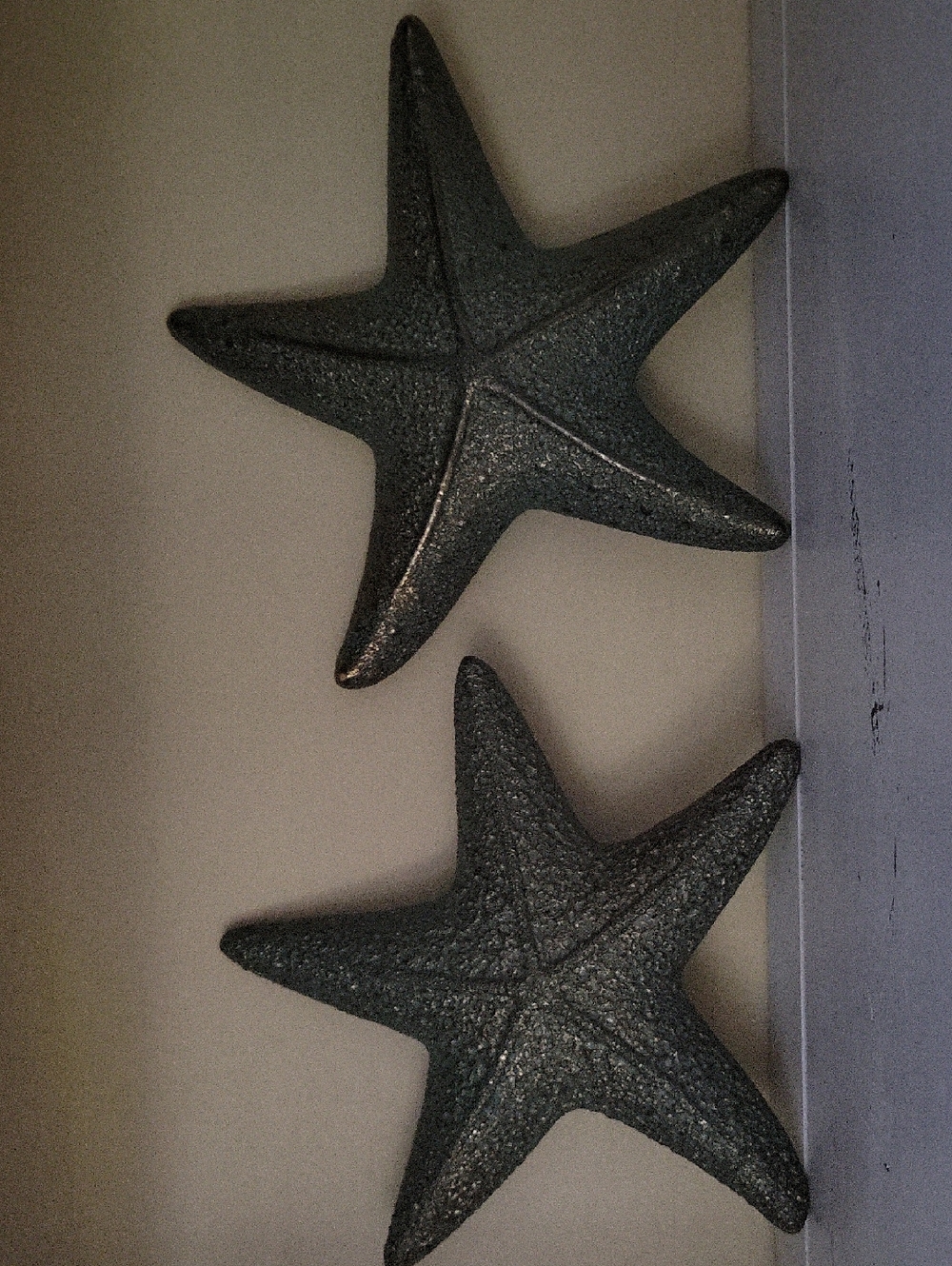 Decorative Starfish Wall Accent Pair